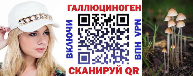 Купить  Спасск-Дальний  Псилоцибиновые грибы GOLDEN TEACHER 